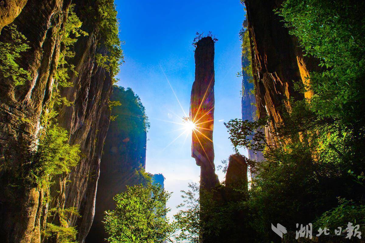 178娱乐众发app